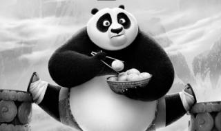 关于国宝大熊猫的基本资料表三年级 熊猫的资料三年级下册